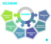 Selenium lifecycle